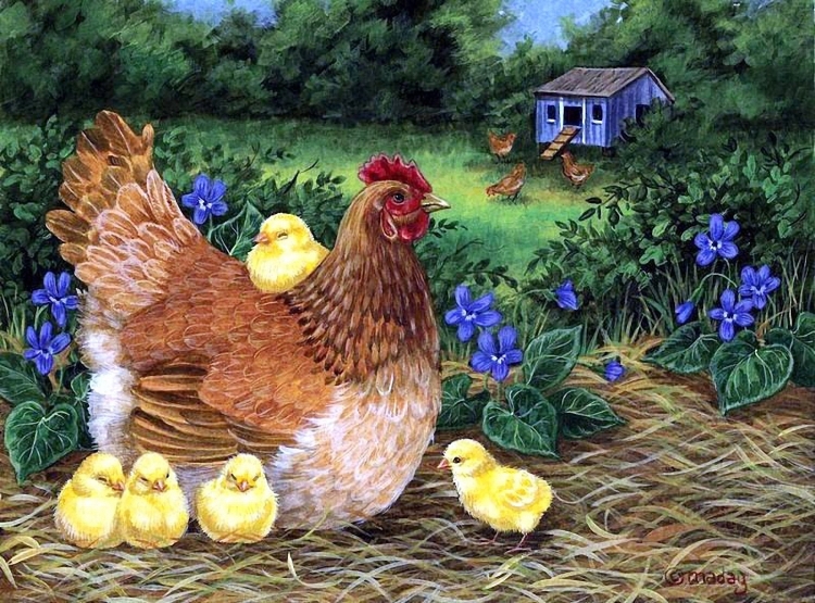 Курица с цыплятами рисунок
