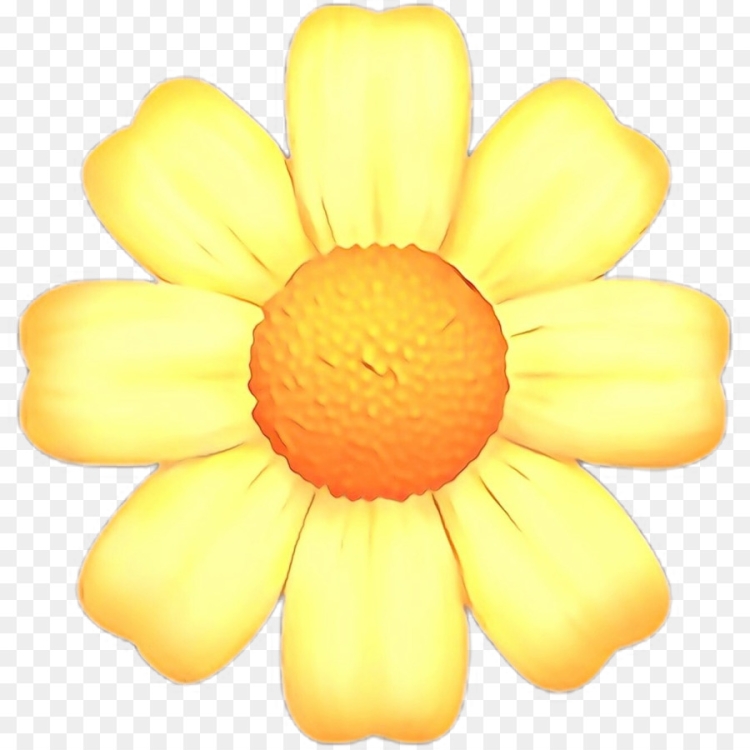 Желтый цветок рисунок