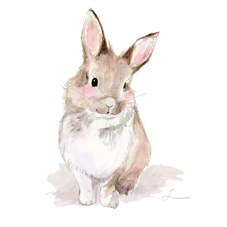 Крольчонок рисунок