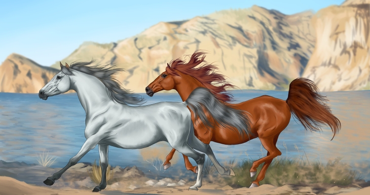 Лошадь иллюстрация