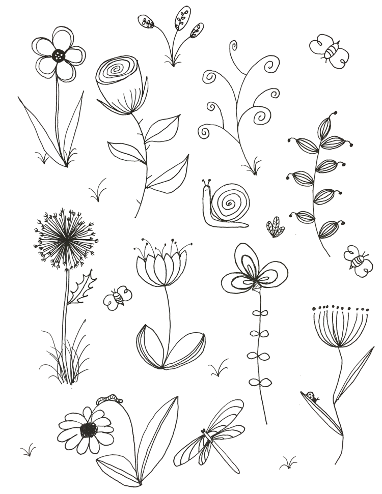 Рисунки растений для срисовки