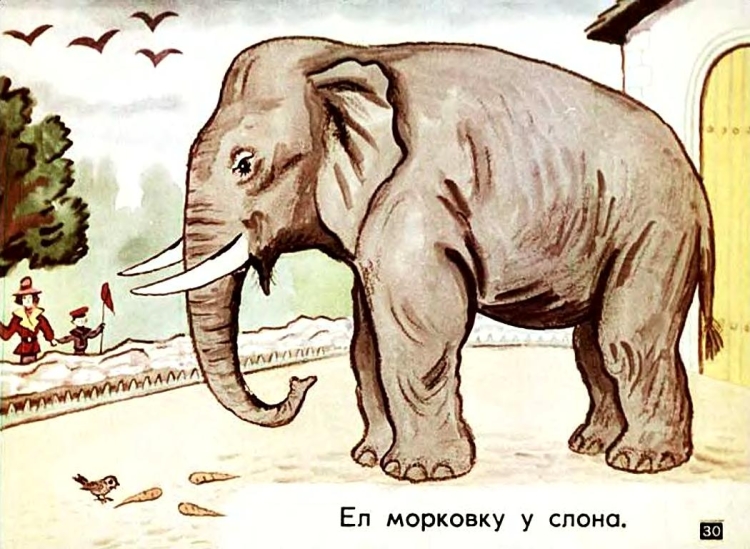 Иллюстрация к произведению слон