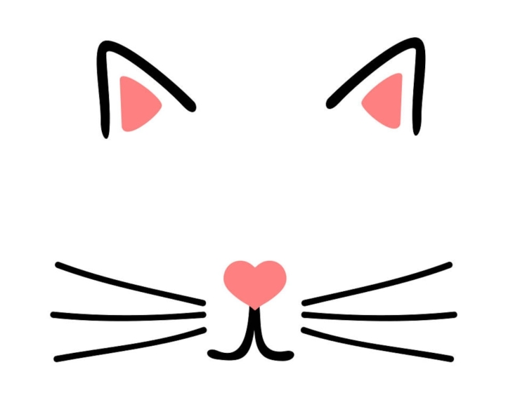 Нос кошки рисунок