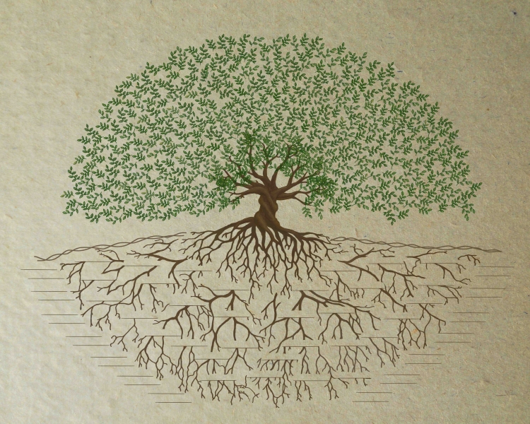 Родовое дерево рисунок