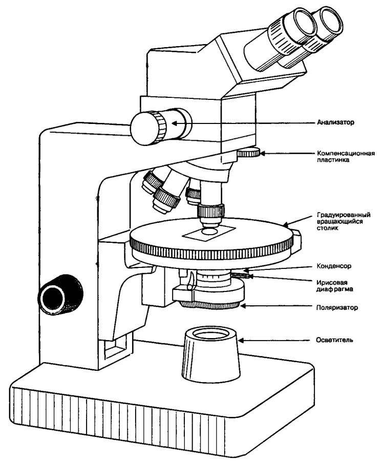 Электронный микроскоп рисунок