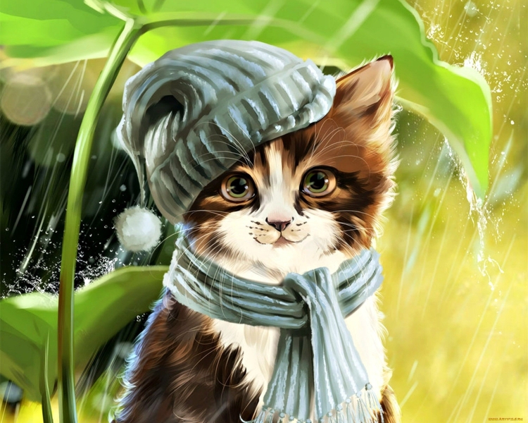 Котик в шапке рисунок