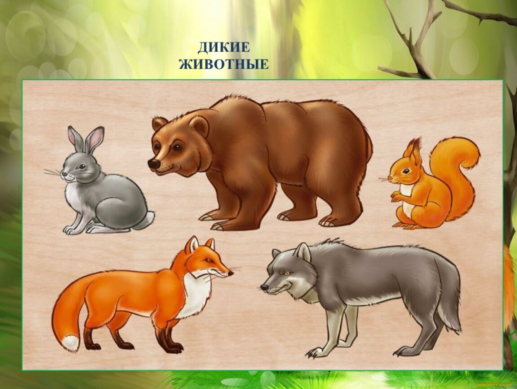 Лесные животные рисунки