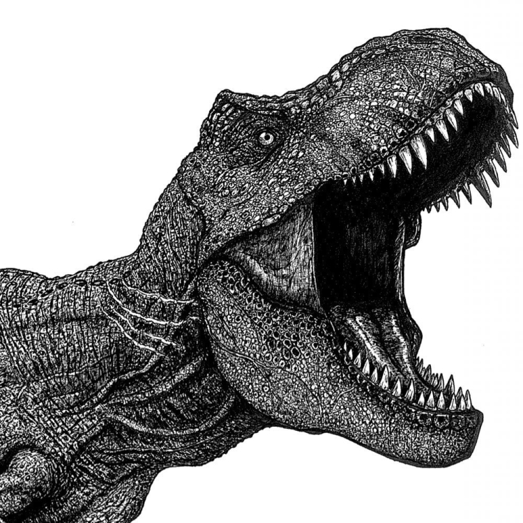 Тиранозавр рисунок