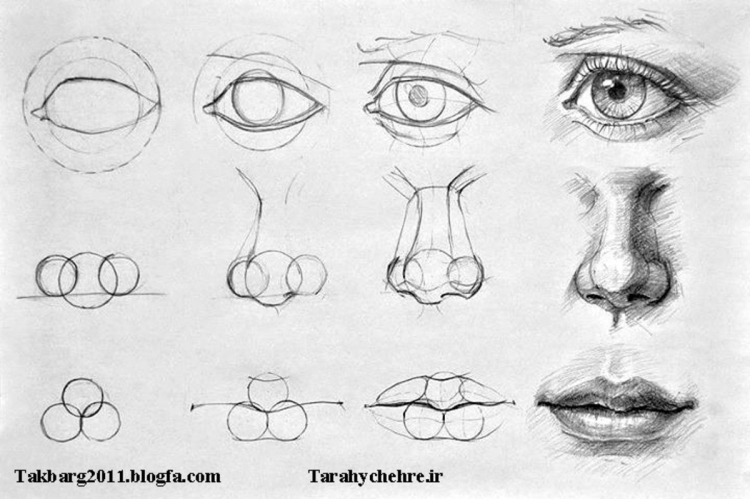 Глаза и нос рисунок