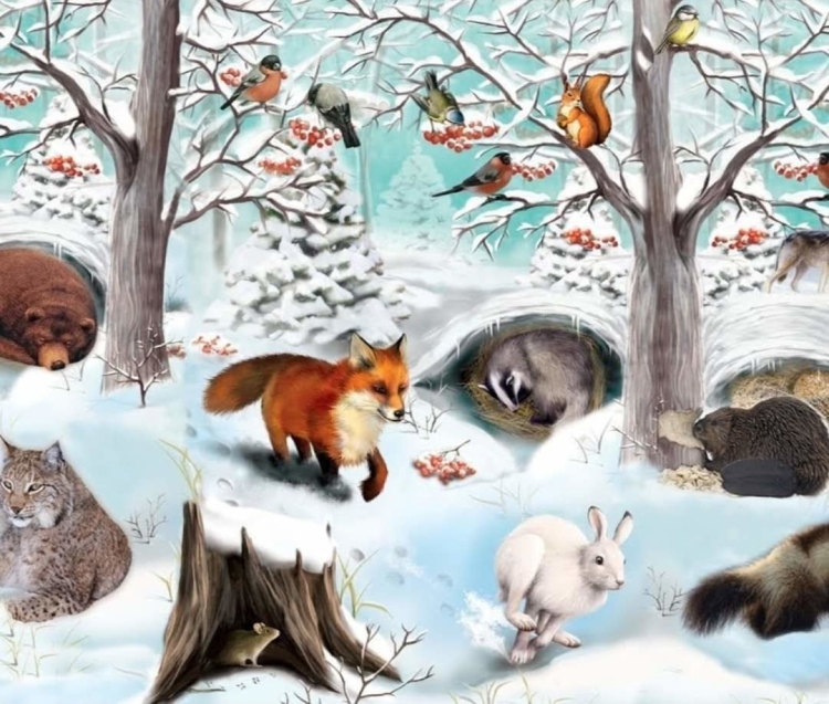 Зимовка животных рисунок